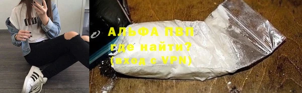 индика Баксан
